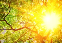 Предимно слънчево време и топли температури в България на 30 юни 2025 г.