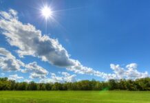 Слънчево време с високи температури в следващото денонощие