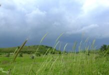 Времето днес: Облаци, превалявания и по-ниски температури