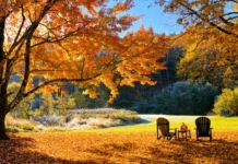 Спокойно есенно време преди нова промяна