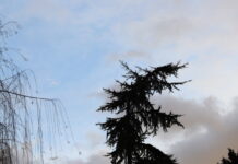 Променлива облачност и ветровито време в страната