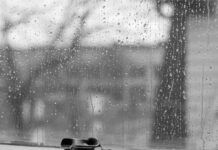 Облачно и хладно време с мъгли сутрин и кратки превалявания на югоизток