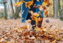 Спокойно и слънчево време с утринни мъгли над страната