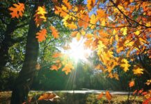 Топло и спокойно време – есента продължава да напомня за лятото