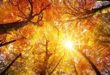 Топъл и спокоен понеделник преди промяната във времето