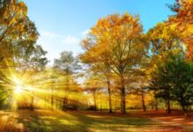 Мъгли в равнините и повече слънце в планините