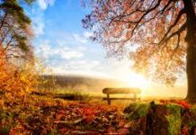 Без промяна във времето: слънчево, тихо и с упорити мъгли в равнините