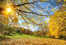 Мразовита нощ, мъгливо утро и слънчеви часове през деня