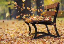 Мъглива сутрин и слънчеви райони следобед – стабилно и тихо време днес